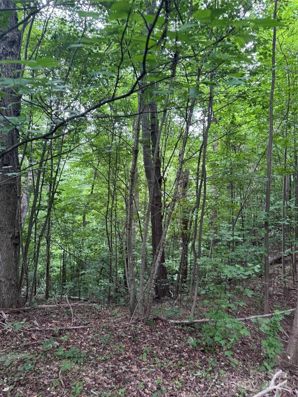 0 Holland DR #18, Columbus, NC 28722