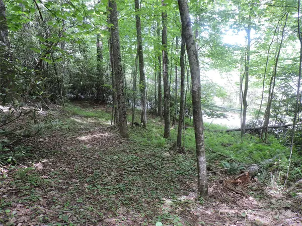 00 South Toe River RD #lot 2, Burnsville, NC 28714