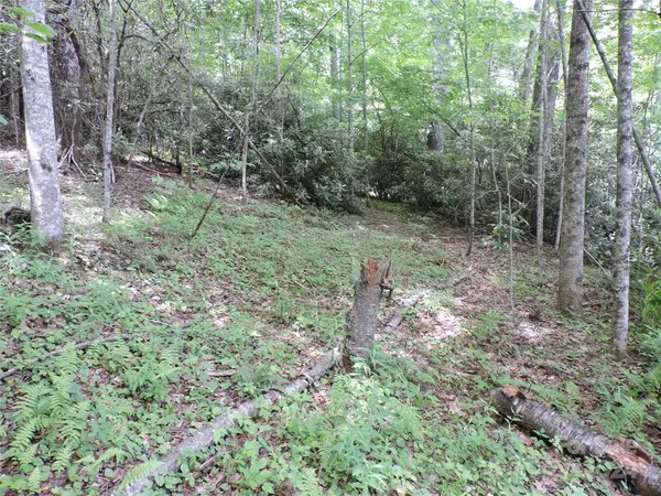 00 South Toe River RD #lot 2, Burnsville, NC 28714