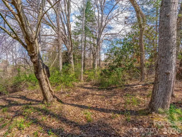 109 Round Table TRL #Lot 7, Asheville, NC 28803