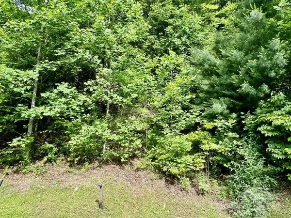 271 Mountain Morning LN #41, Hendersonville, NC 28739
