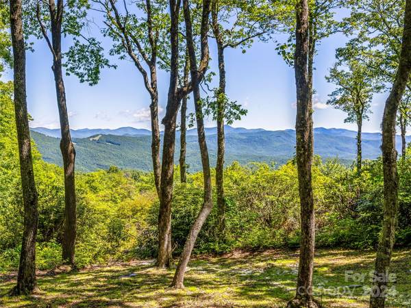 PS 3 Panther Summit DR, Lake Toxaway, NC 28747