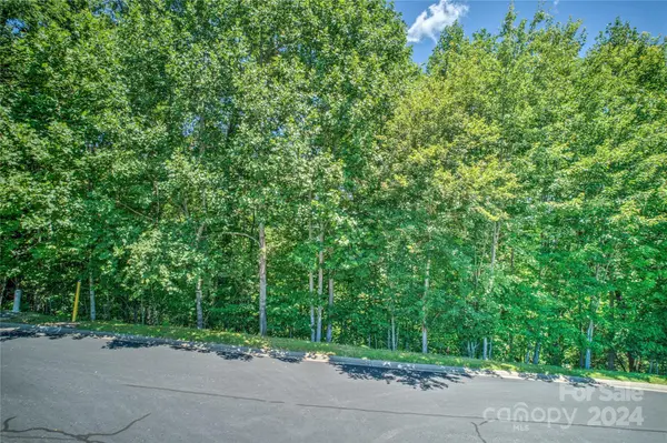 1018 Mills River WAY, Horse Shoe, NC 28742