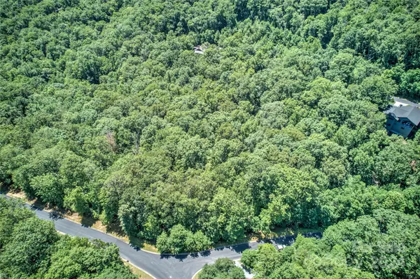 567 Shining Rock PATH, Horse Shoe, NC 28742
