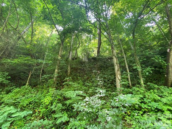 0000 Big Laurel RD, Marshall, NC 28753