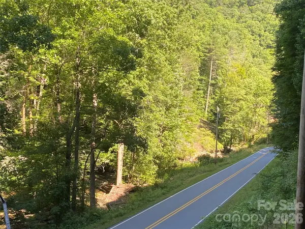 0000 Big Laurel RD, Marshall, NC 28753