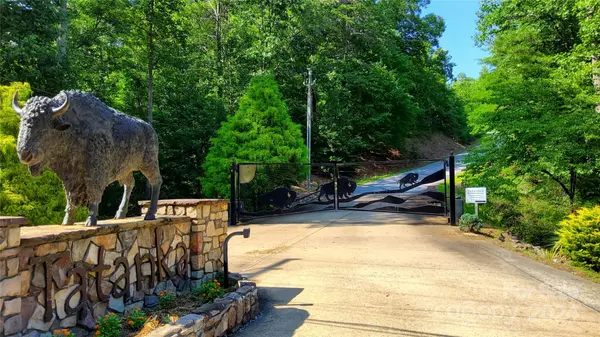 00 Wambli PASS #20 & 21, Lake Lure, NC 28746