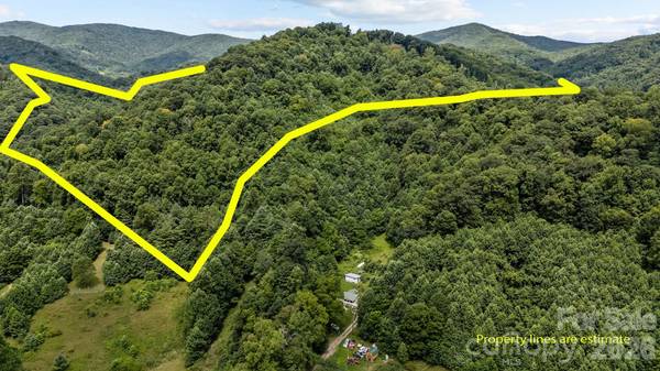 99999 Windswept DR, Burnsville, NC 28714