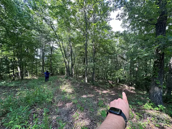 000 Destiny Farms RD, Leicester, NC 28748