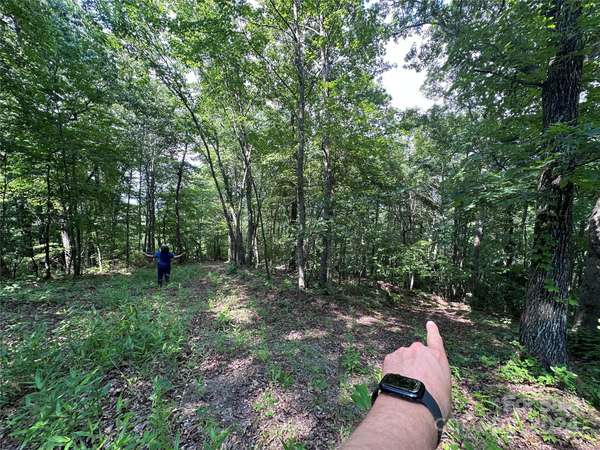 000 Destiny Farms RD, Leicester, NC 28748