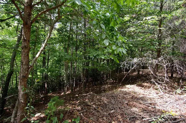 00 Victoria DR, Marion, NC 28752