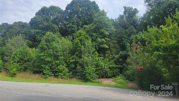 0 Eva CT, Lincolnton, NC 28092