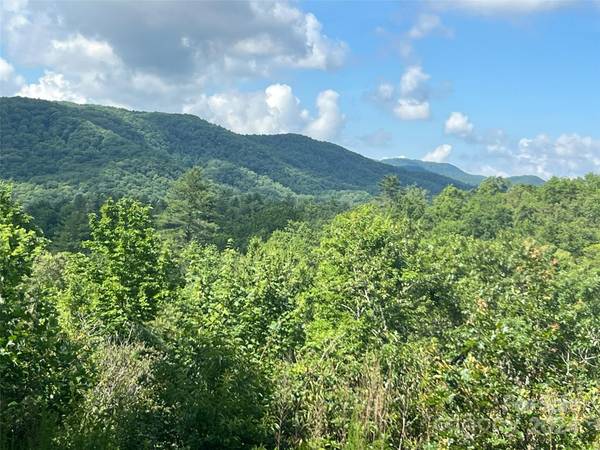 667 Laurel Thicket LN, Brevard, NC 28712