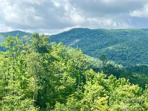 667 Laurel Thicket LN, Brevard, NC 28712