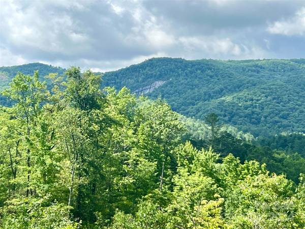 667 Laurel Thicket LN, Brevard, NC 28712