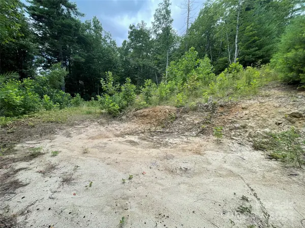 00 Willow Run LN #6, Zirconia, NC 28790