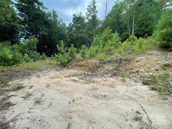00 Willow Run LN #6, Zirconia, NC 28790