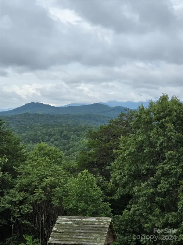 290 Boland DR, Lake Lure, NC 28746