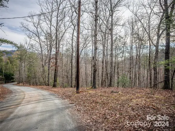 163 Pheasant ST #163, Lake Lure, NC 28746