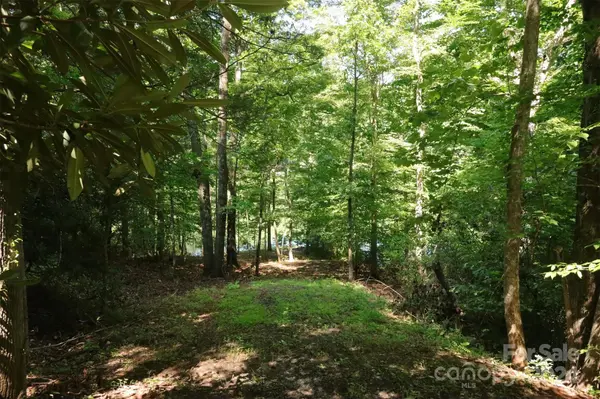 1733 Buffalo Creek RD, Lake Lure, NC 28746