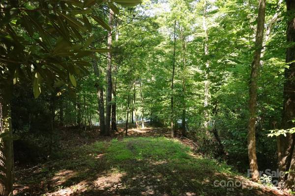 1733 Buffalo Creek RD, Lake Lure, NC 28746