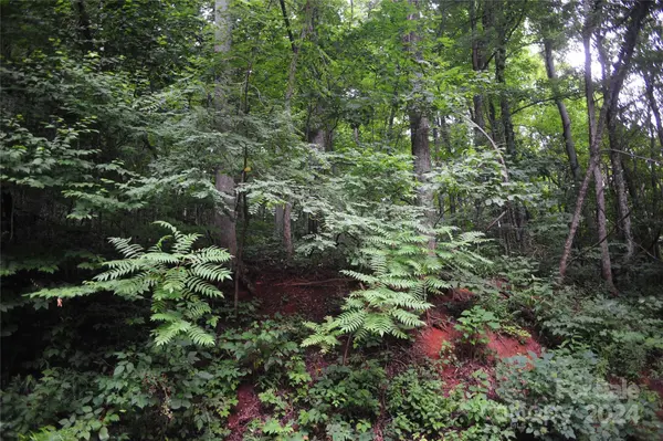 54 Great Aspen WAY #701, Black Mountain, NC 28711