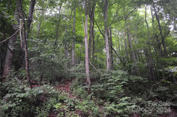 54 Great Aspen WAY #701, Black Mountain, NC 28711