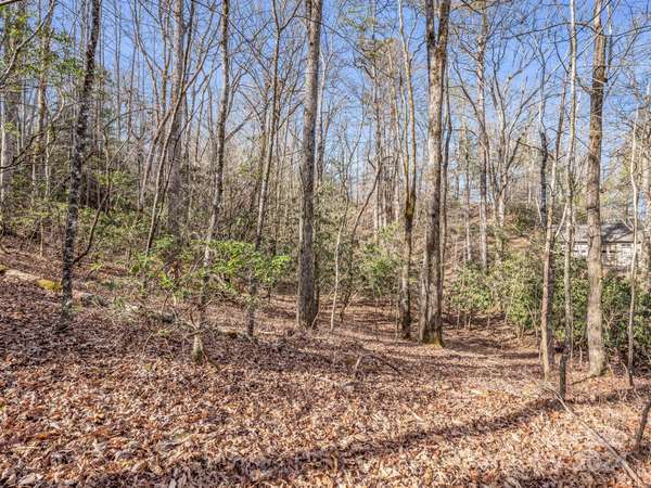 TBD Adayahi CT #14/25, Brevard, NC 28712