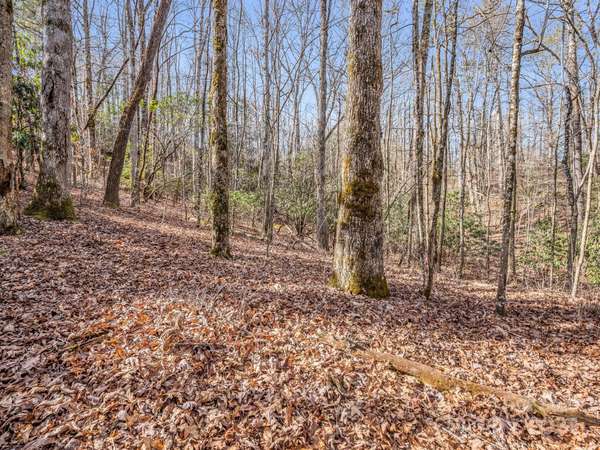 TBD Adayahi CT #14/25, Brevard, NC 28712