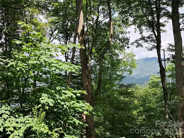 00 Hurricane Ridge TRCE #53, Clyde, NC 28721