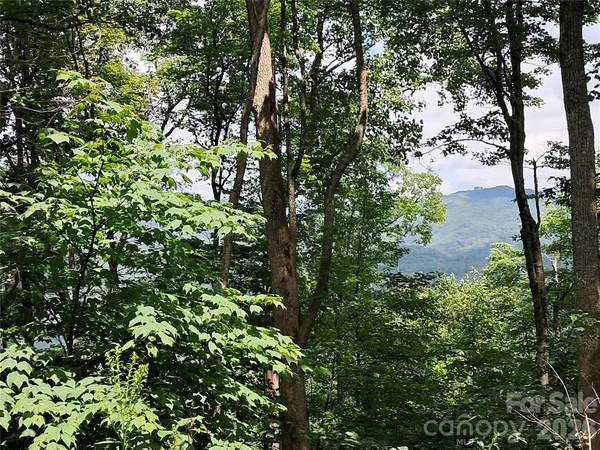 00 Hurricane Ridge TRCE #53, Clyde, NC 28721