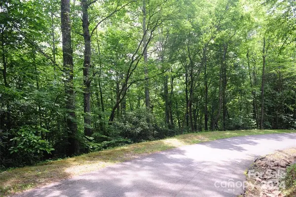 17 Wood Haven LN #111, Black Mountain, NC 28711