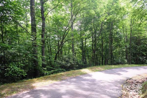17 Wood Haven LN #111, Black Mountain, NC 28711