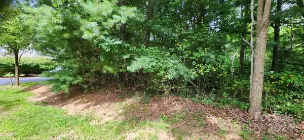 00000 Barebridge DR #9, Burnsville, NC 28714