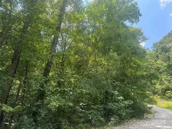 177 Peartree DR, Lake Lure, NC 28746