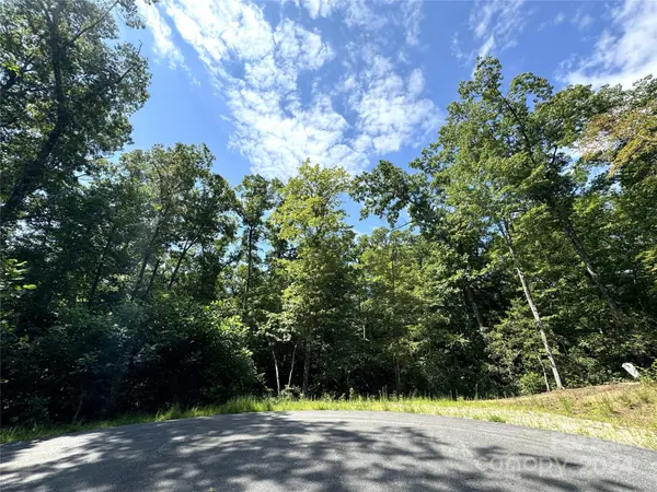 63 Cherry Cove LN #3, Old Fort, NC 28762