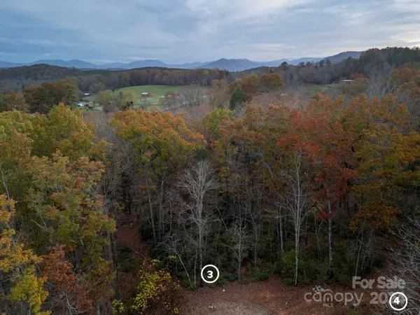 63 Cherry Cove LN #3, Old Fort, NC 28762