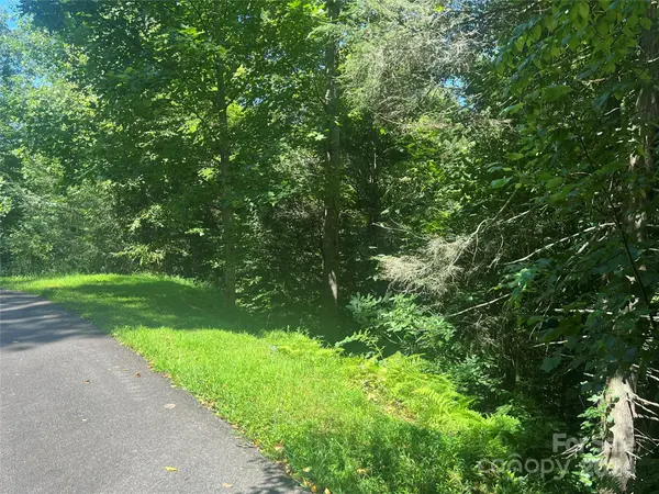 17 Harleys Cove RD #17, Waynesville, NC 28785