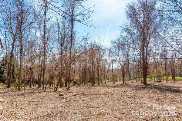 000 BERRY CREEK DR, Flat Rock, NC 28731