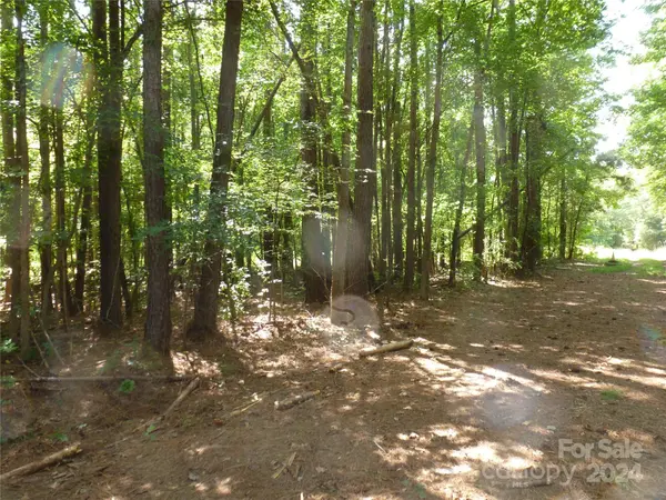 00 Pageland HWY, Lancaster, SC 29720