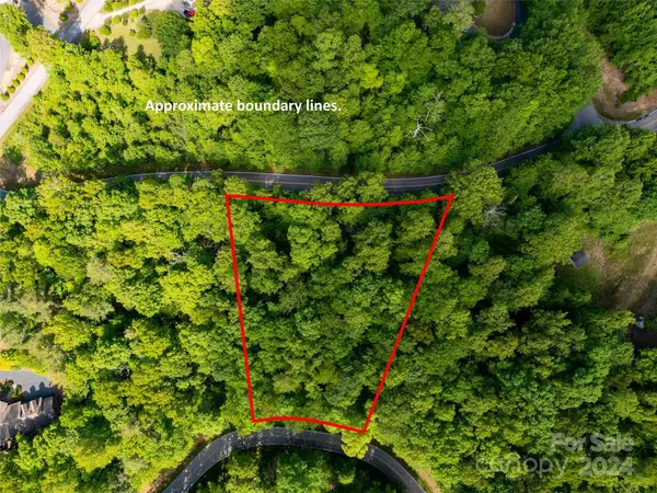 166 Chattooga RUN #293, Hendersonville, NC 28739