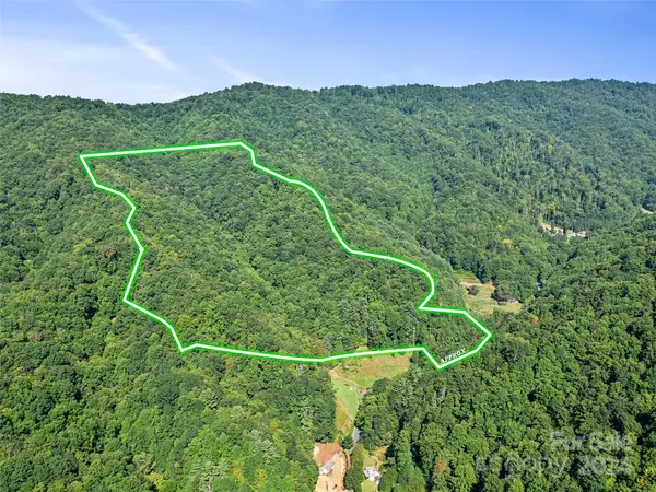 000 Byrd Creek RD, Green Mountain, NC 28740