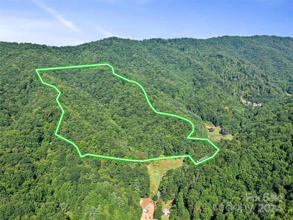 000 Byrd Creek RD, Green Mountain, NC 28740