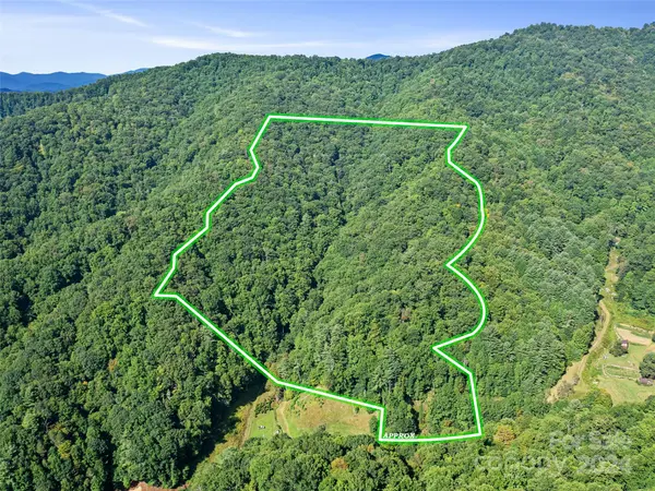 000 Byrd Creek RD, Green Mountain, NC 28740
