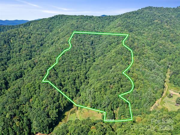 000 Byrd Creek RD, Green Mountain, NC 28740
