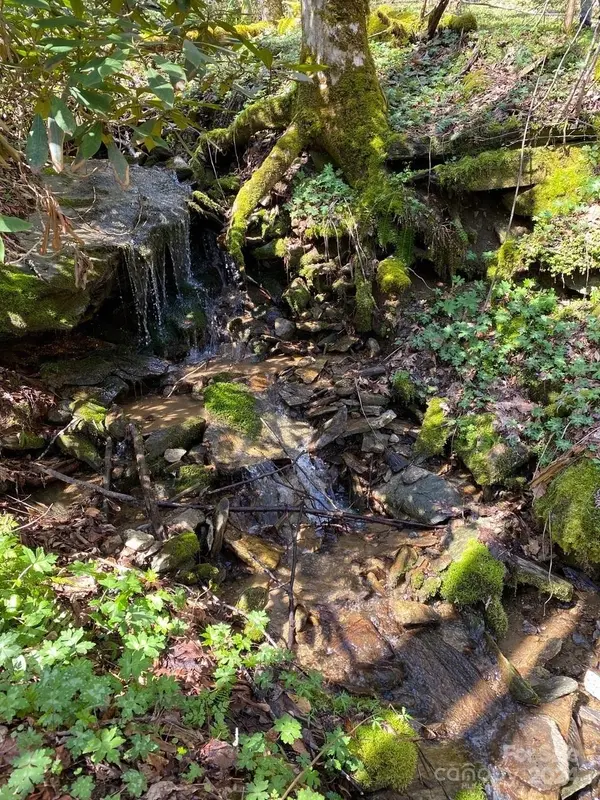 000 Byrd Creek RD, Green Mountain, NC 28740