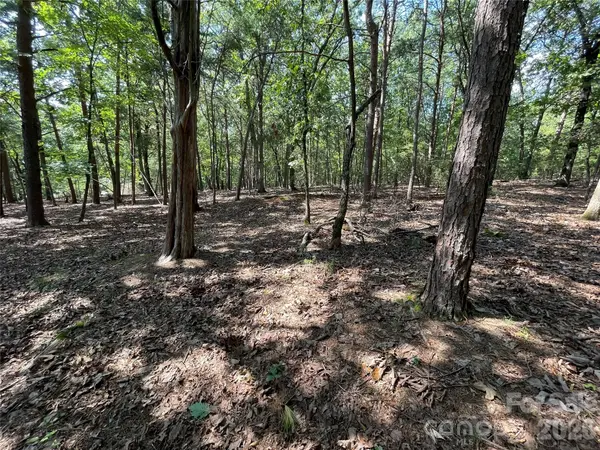 135 Deep Water CT #136 PH9, New London, NC 28127