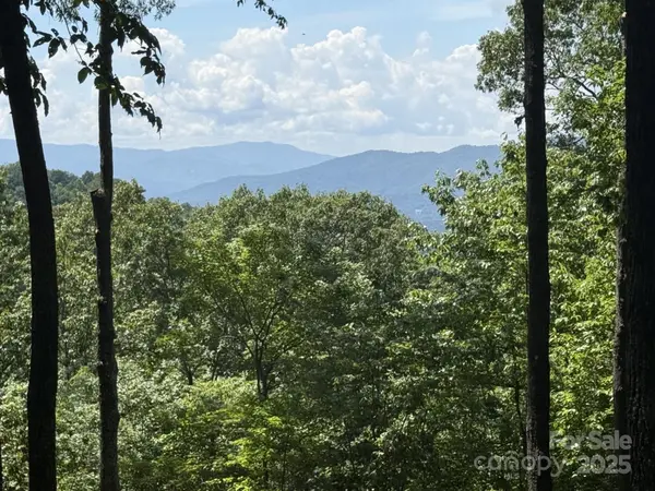 Lt 176 E Reach RD #176, Sylva, NC 28779