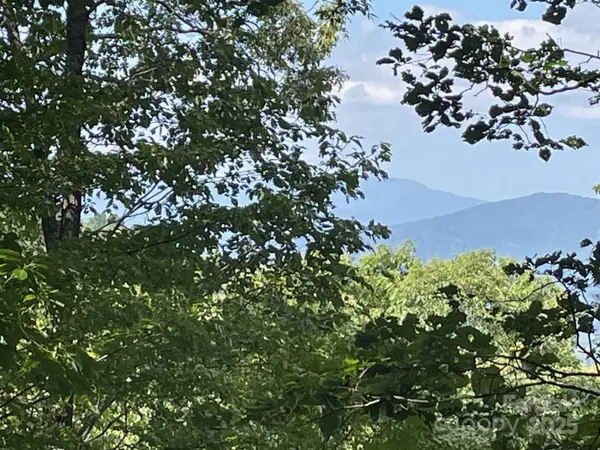 Lt 176 E Reach RD #176, Sylva, NC 28779