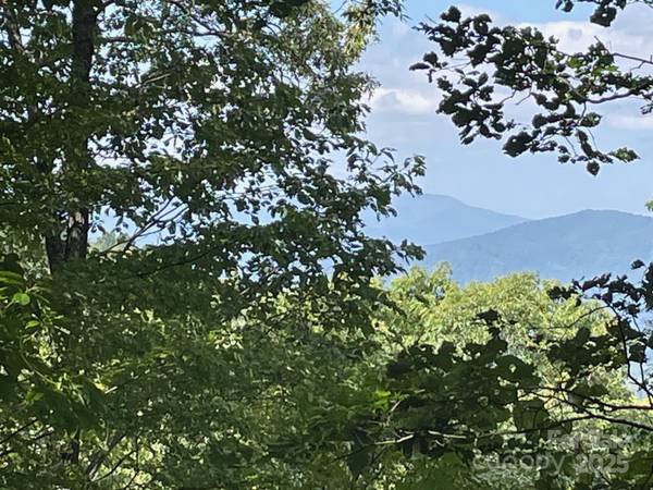 Lt 176 E Reach RD #176, Sylva, NC 28779